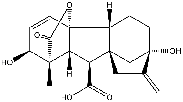 赤霉素GIBBERELLIC ACID，居然有這么神奇？